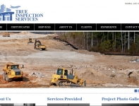 True Inspection Services